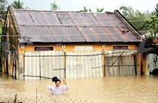 Vietnam reviews climate change investment 